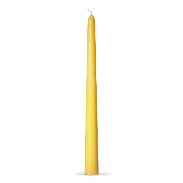 color studio 12" taper candle set of 4 - ochre