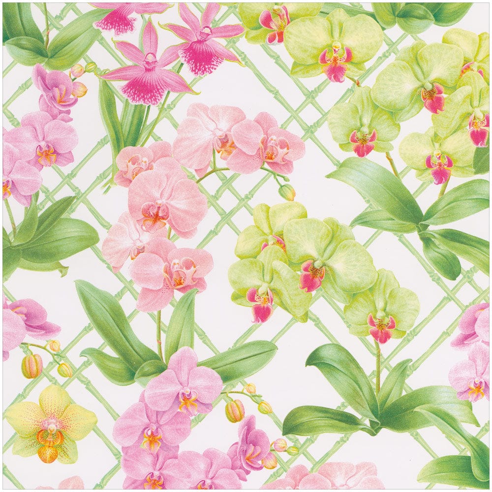 ORCHID CONSERVATORY - ROLL WRAP 30 INCH X 8FT-2 IN