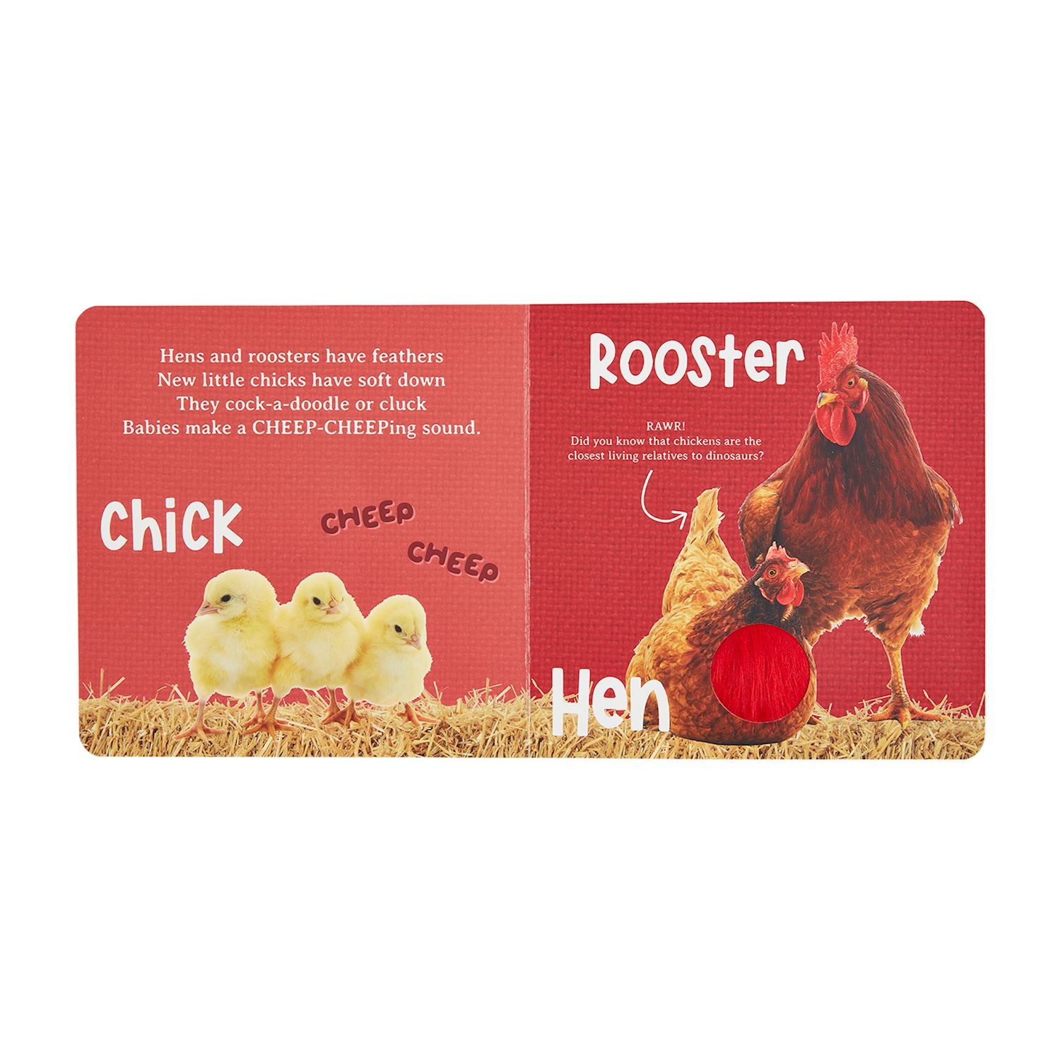 Hear & Feel Farm Board Book BY MUD PIE - A. Dodson's