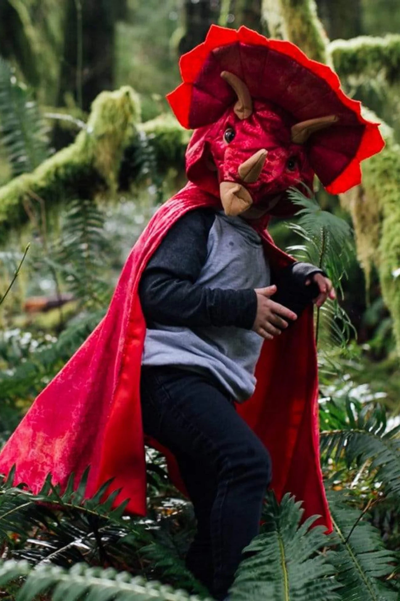 Triceratops Hooded Dinosaur Cape - A. Dodson's