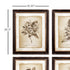FRAMED VINTAGE FLORAL PRINTS, SET OF 6 - view 2