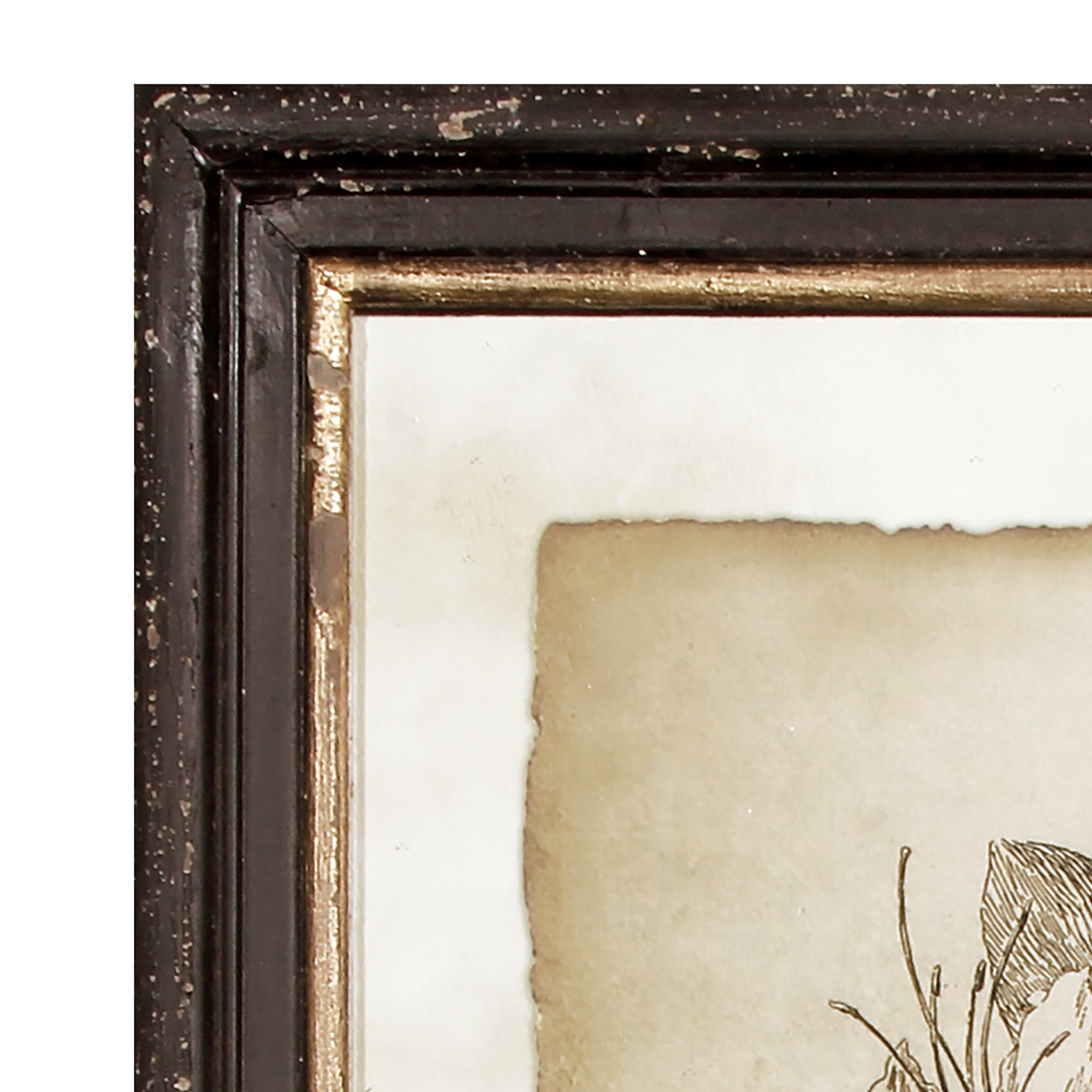 FRAMED VINTAGE FLORAL PRINTS, SET OF 6 - view 3