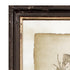 FRAMED VINTAGE FLORAL PRINTS, SET OF 6 - view 3