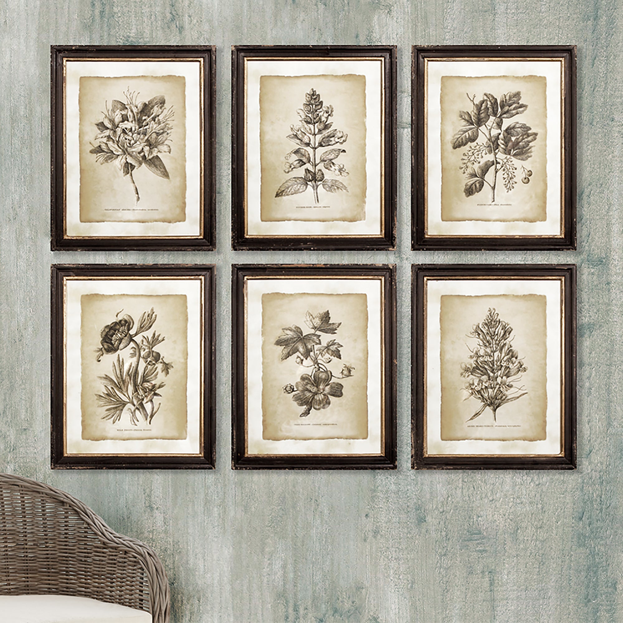 FRAMED VINTAGE FLORAL PRINTS, SET OF 6 - view 4