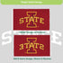 Iowa State University Single Sided Estate Flag with 2 Grommets, 3'x5'
