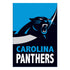 Carolina Panthers Burlap Flag House Size