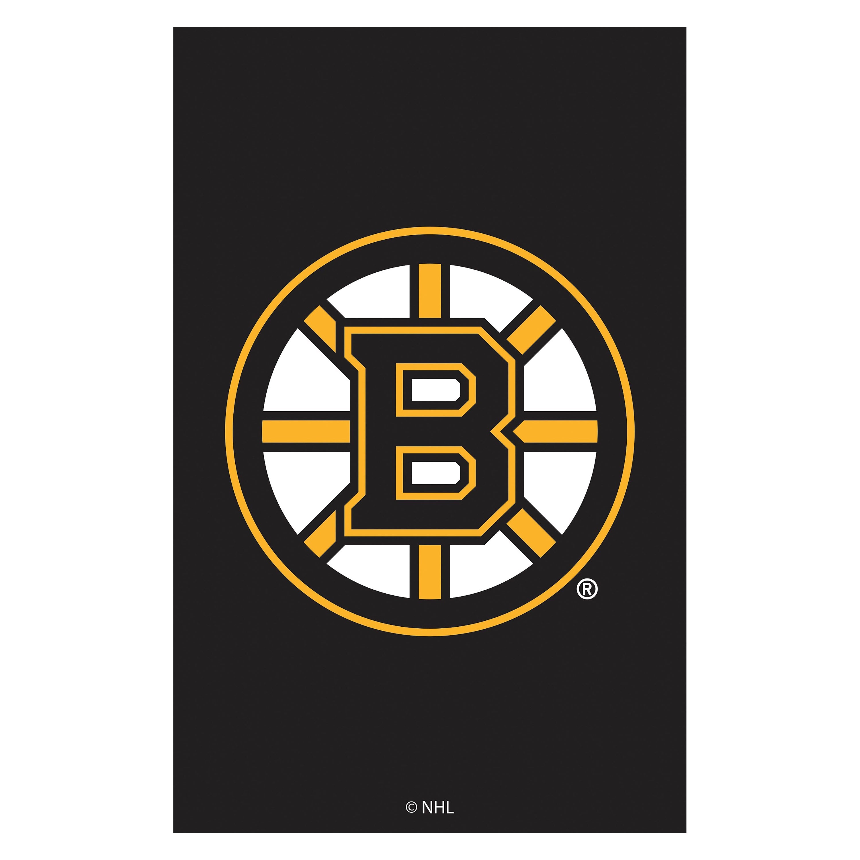 Applique Flag, Reg, Boston Bruins