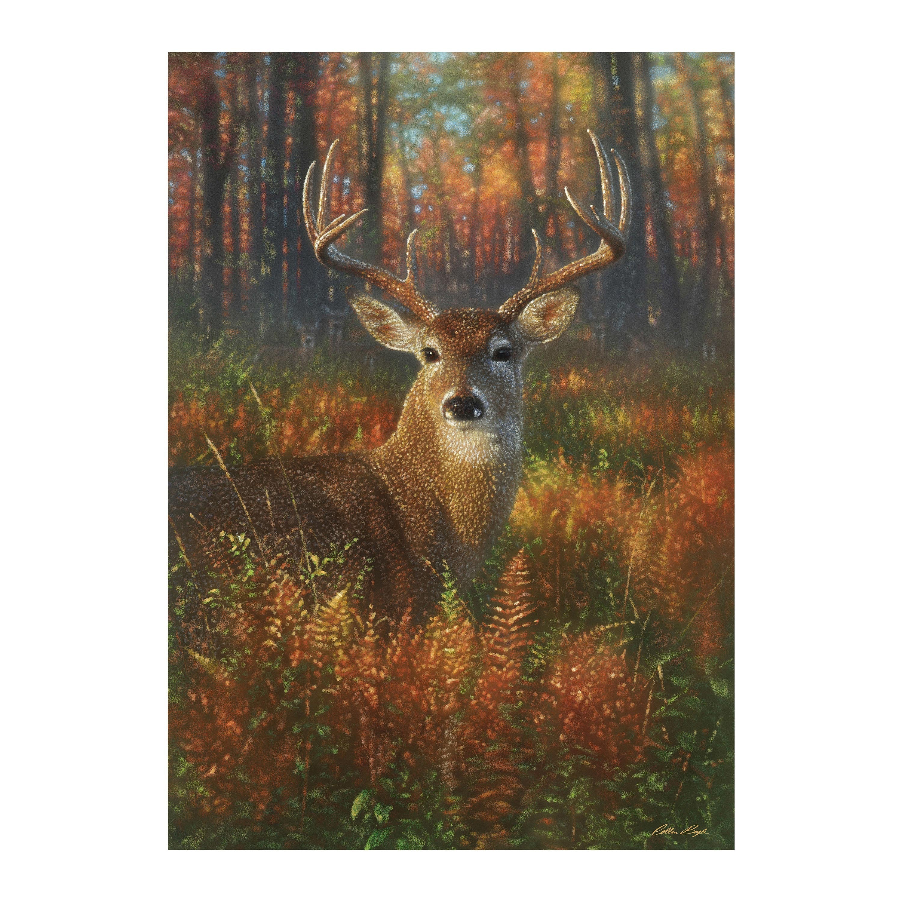 Gazing Autumn Buck Suede House Flag