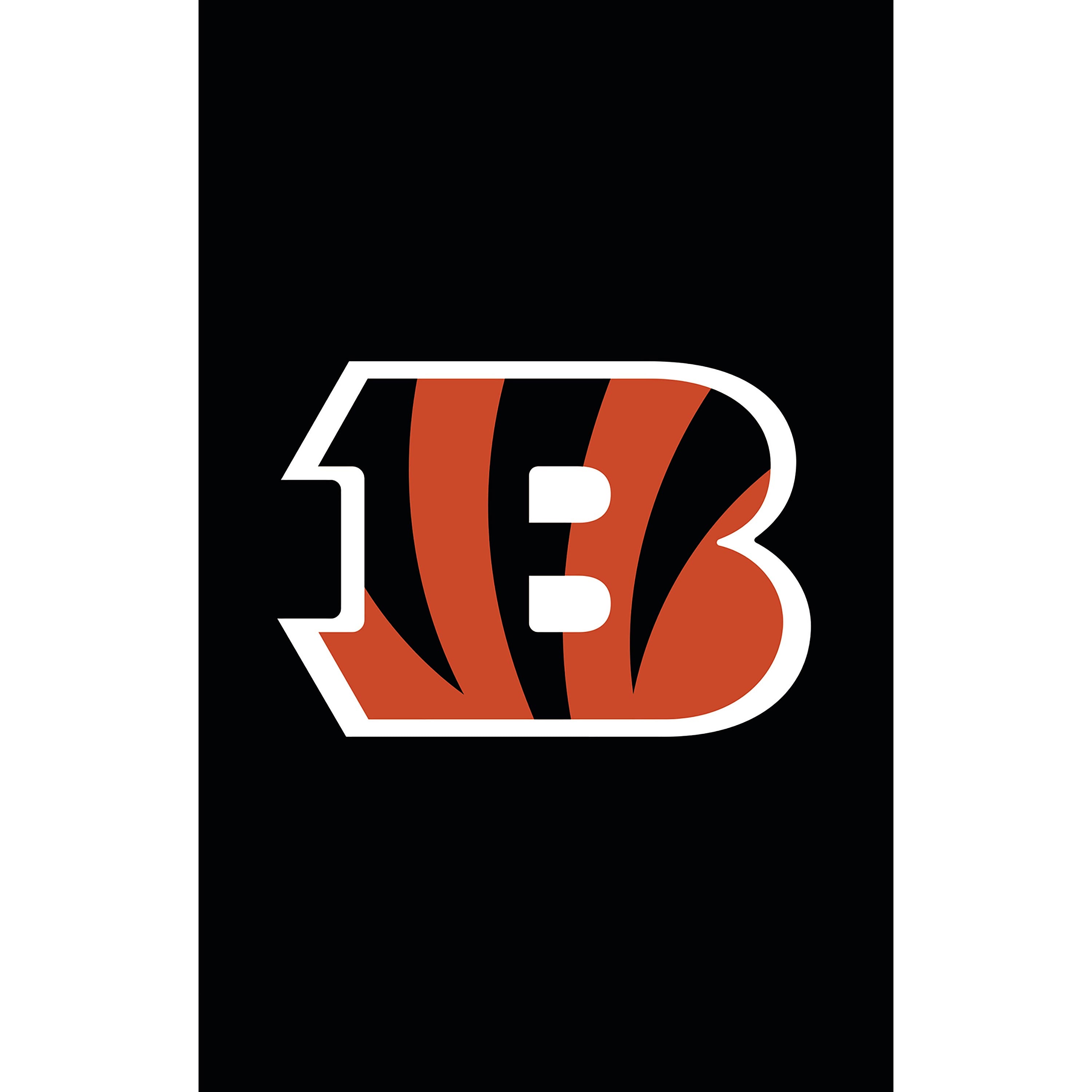 Applique Flag, Reg, Cincinnati Bengals