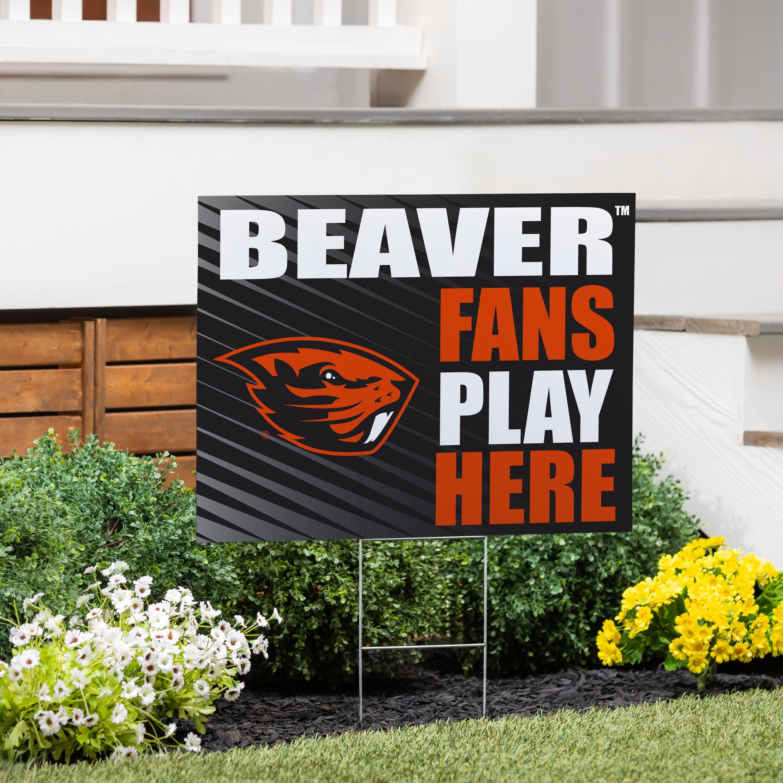 Oregon State University Coroplast Yard Sign "Fans Play Here"