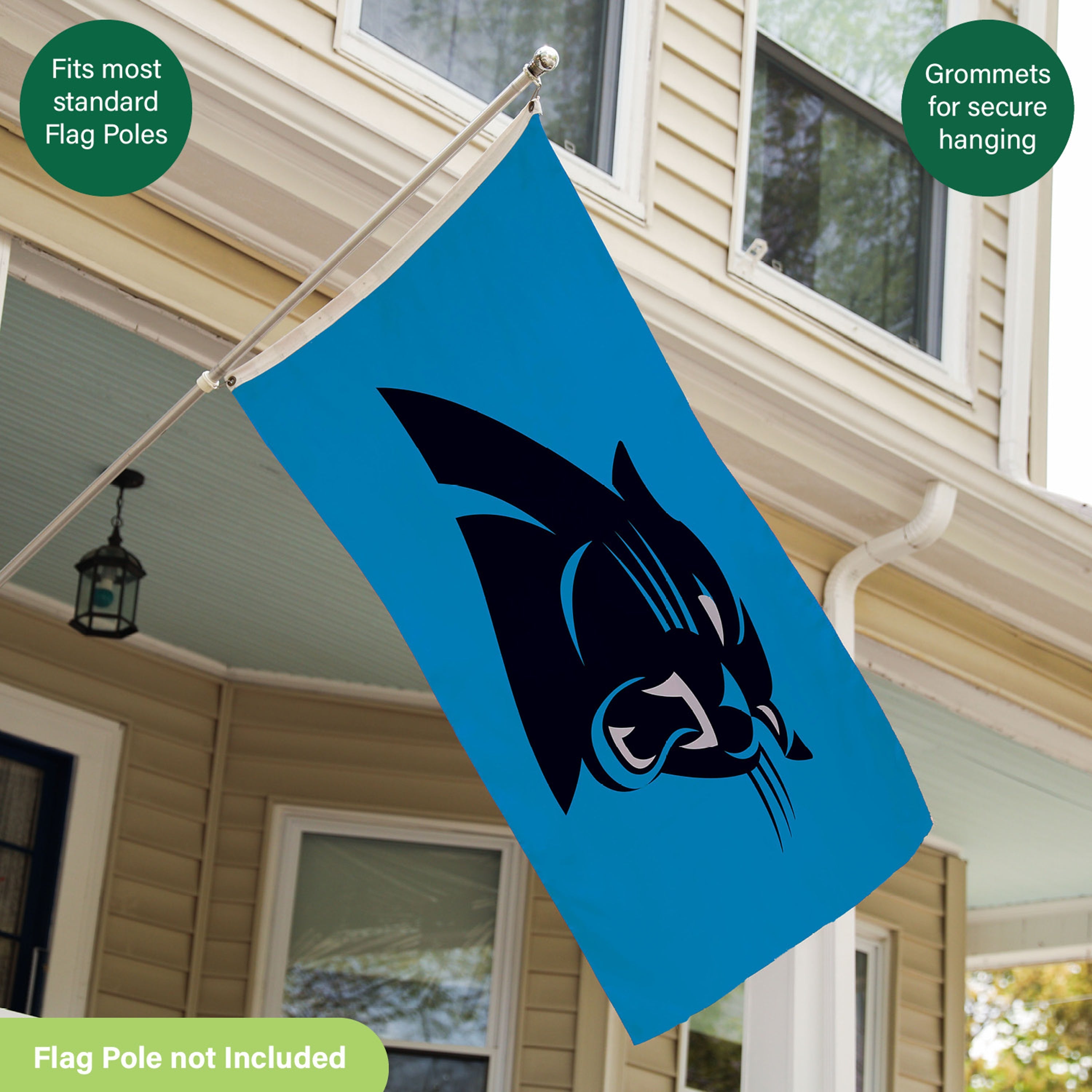3'x5' Single Sided Flag w/ 2 Grommets, Carolina Panthers