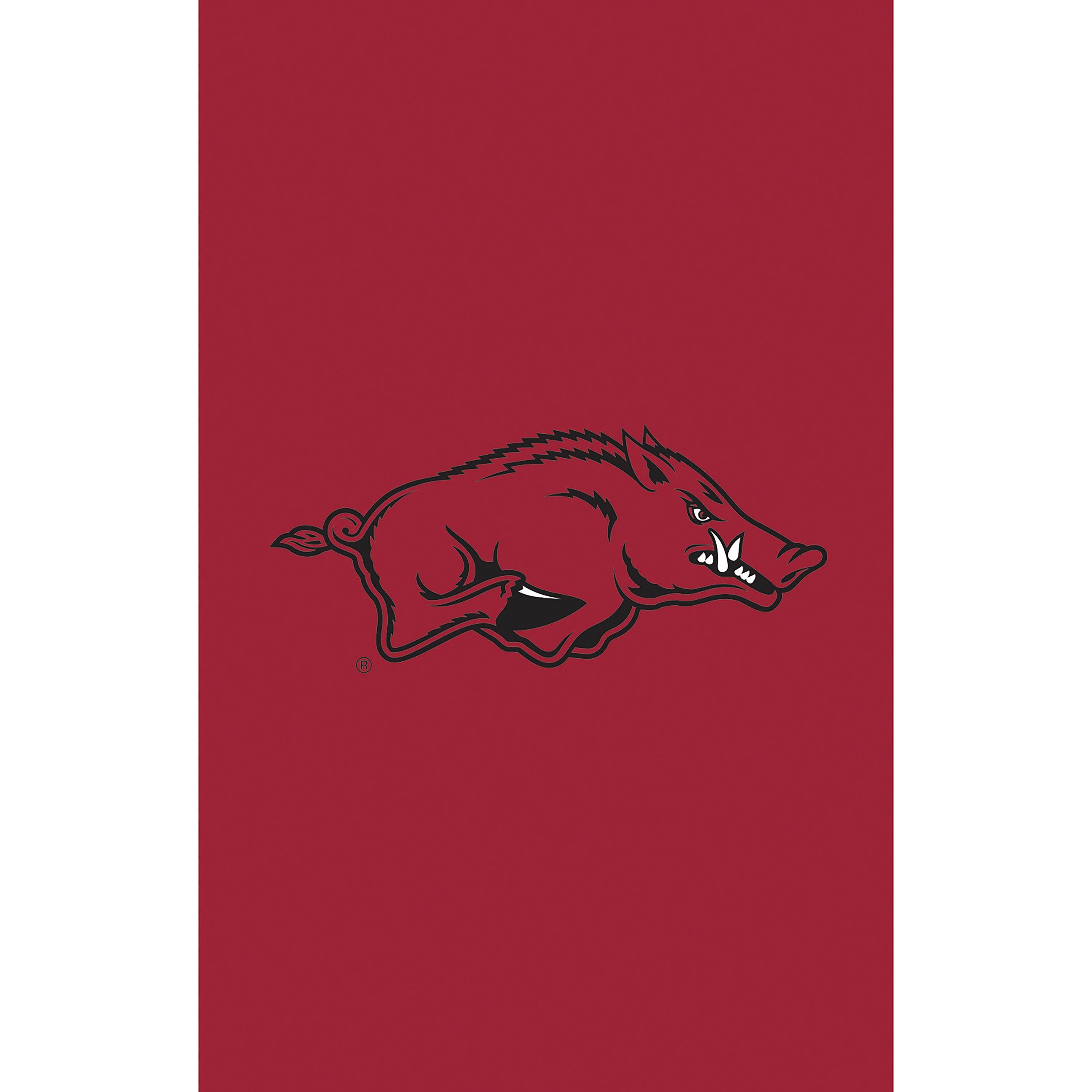 Applique Flag, Gar., University of Arkansas