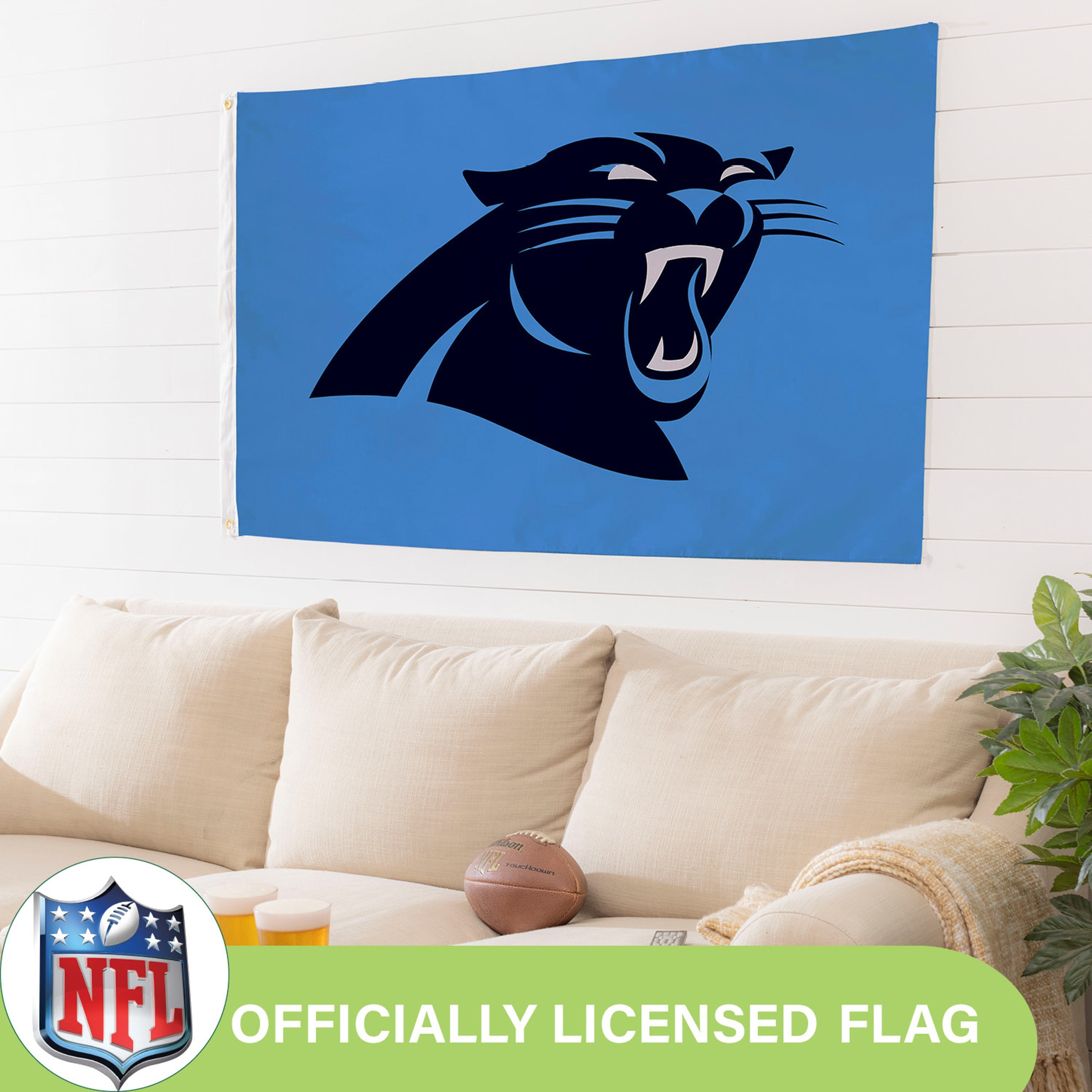 3'x5' Single Sided Flag w/ 2 Grommets, Carolina Panthers