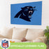3'x5' Single Sided Flag w/ 2 Grommets, Carolina Panthers