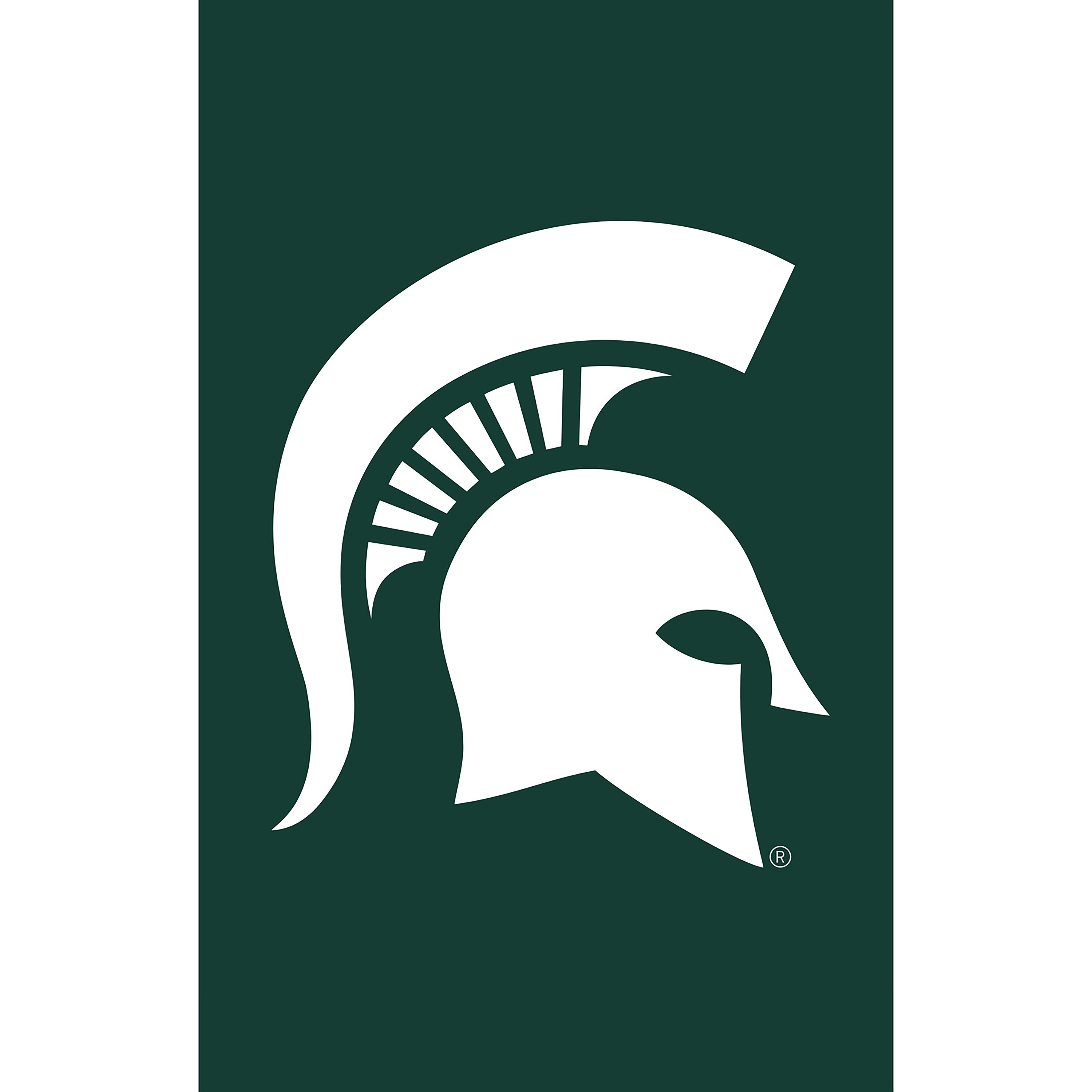 Applique Flag, Gar., Michigan State University