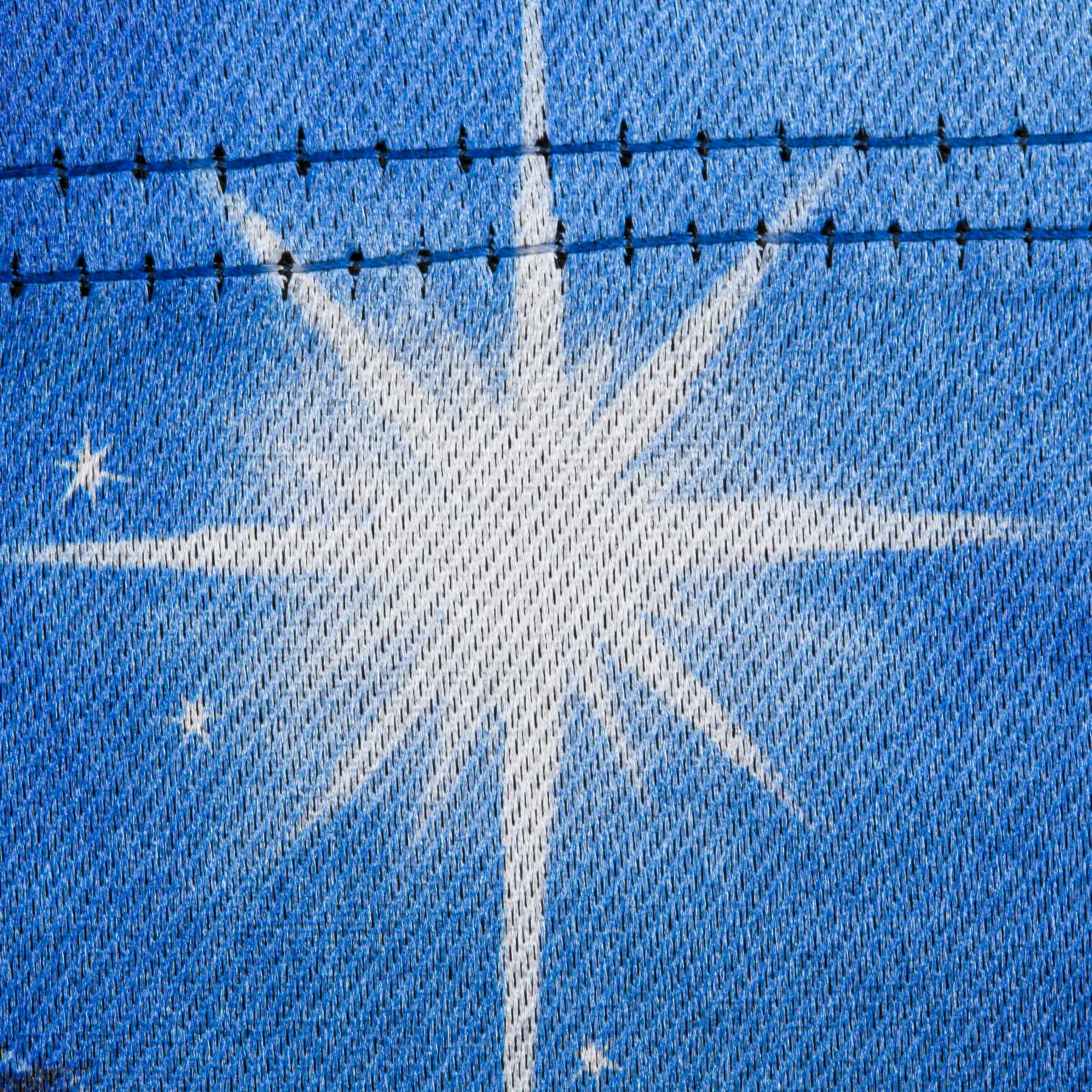 Holy Night Nativity Garden Lustre Flag