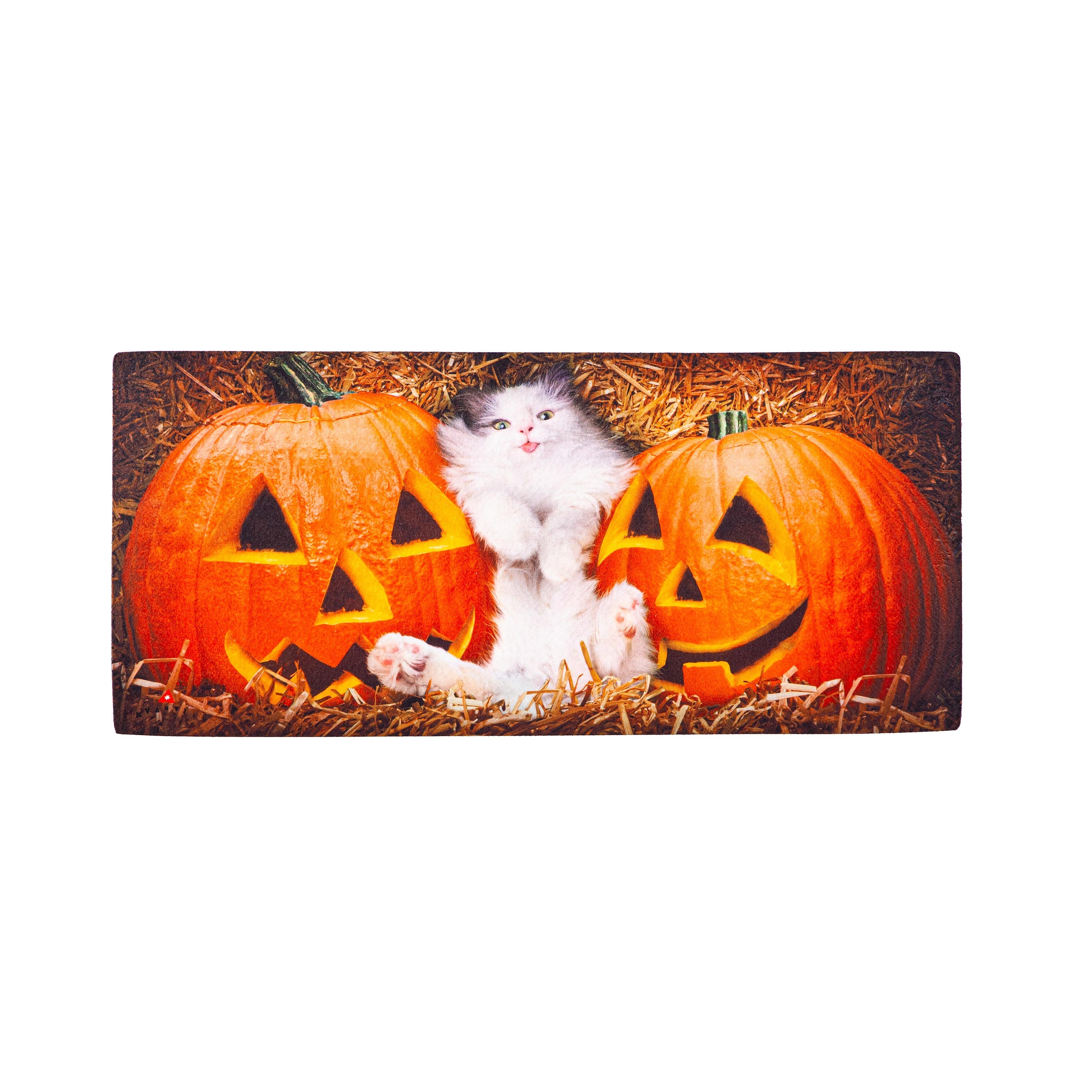 Cat Stuck Between Pumpkins Sassafras Switch Mat