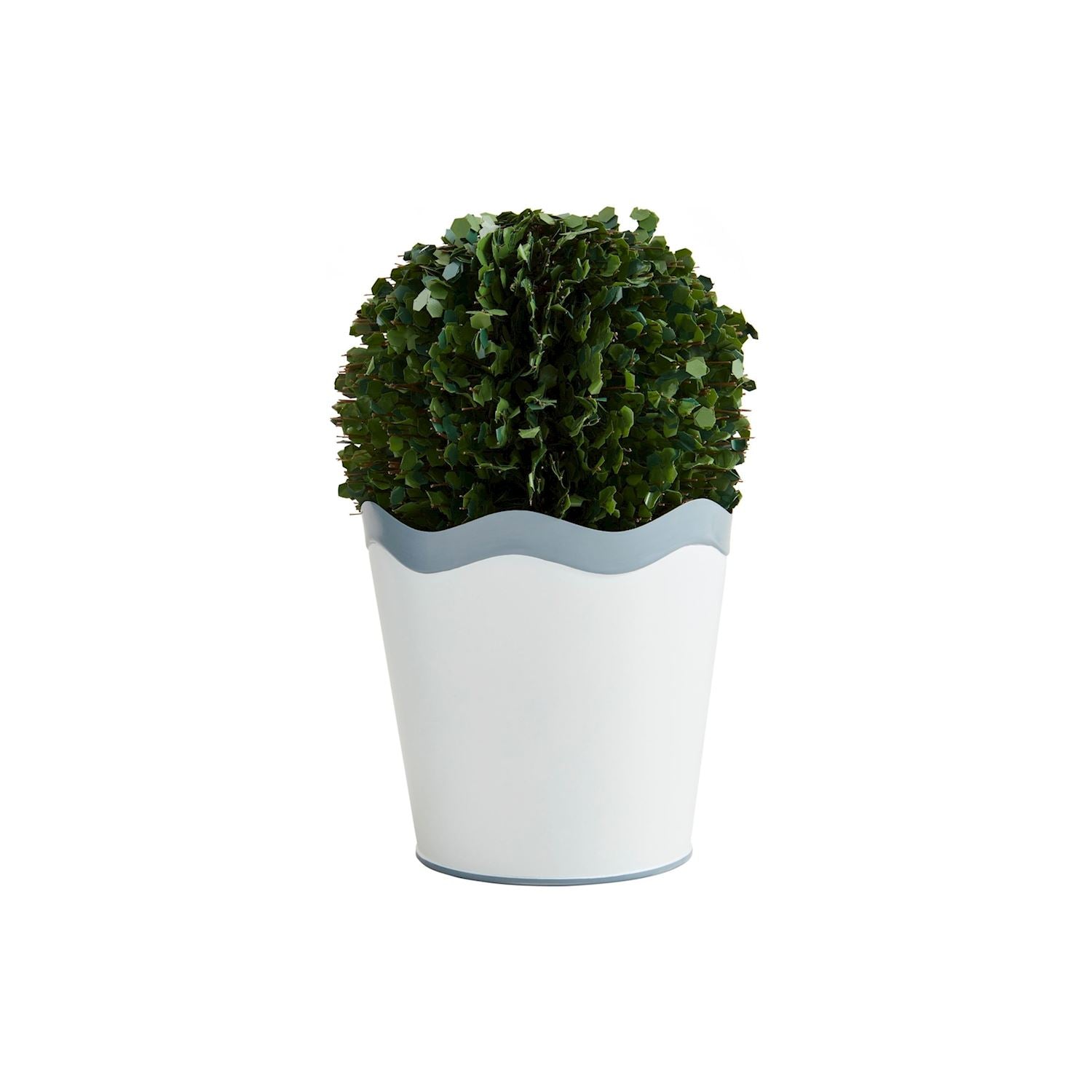Scalloped Boxwood Pots BY MUD PIE