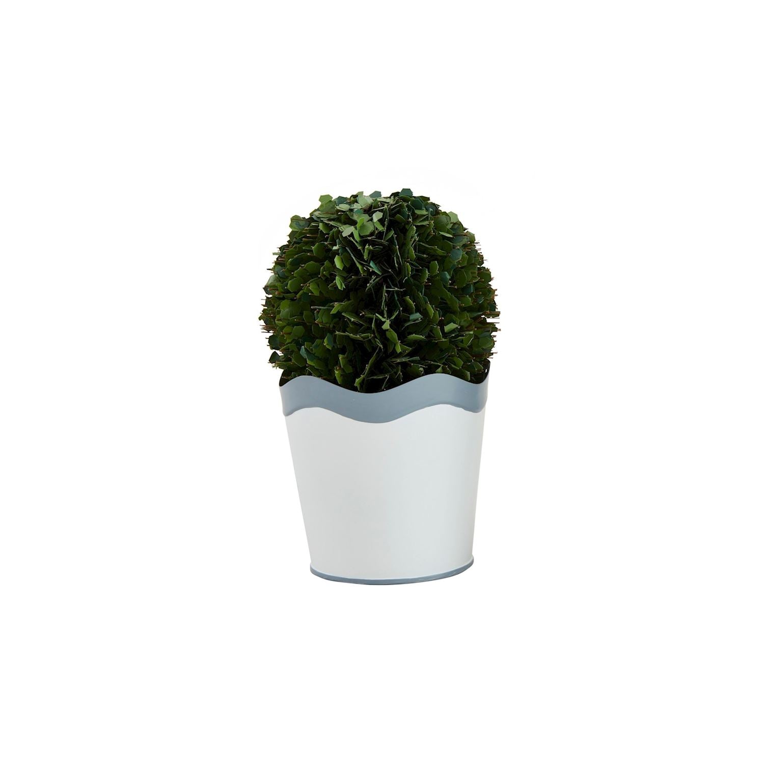 Scalloped Boxwood Pots BY MUD PIE