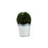 Scalloped Boxwood Pots BY MUD PIE