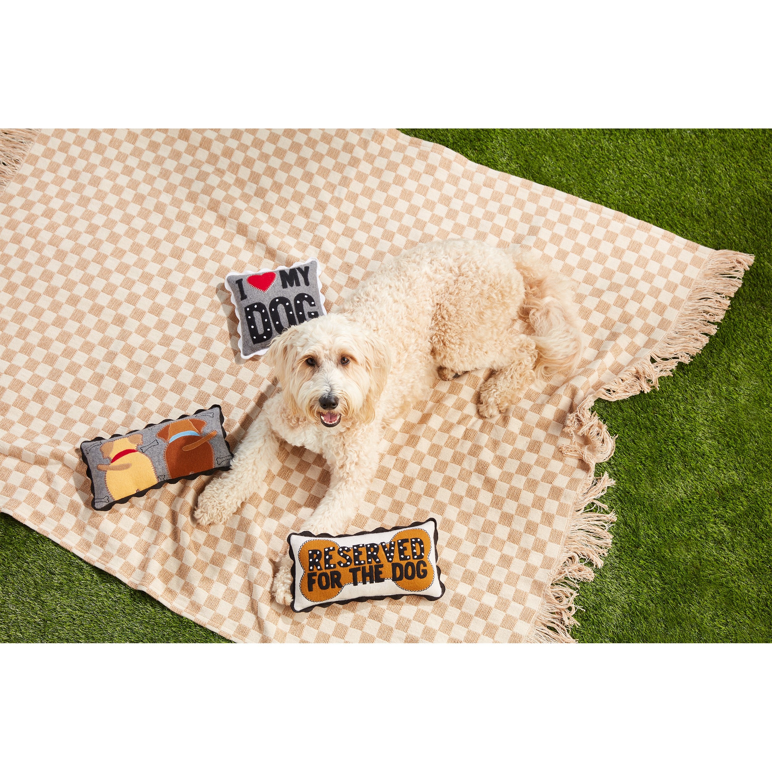 Reserved For The Dog Mini Felted Pillow By Mud Pie