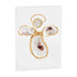 Acrylic Oyster Plaques By Mud Pie - A. Dodson's