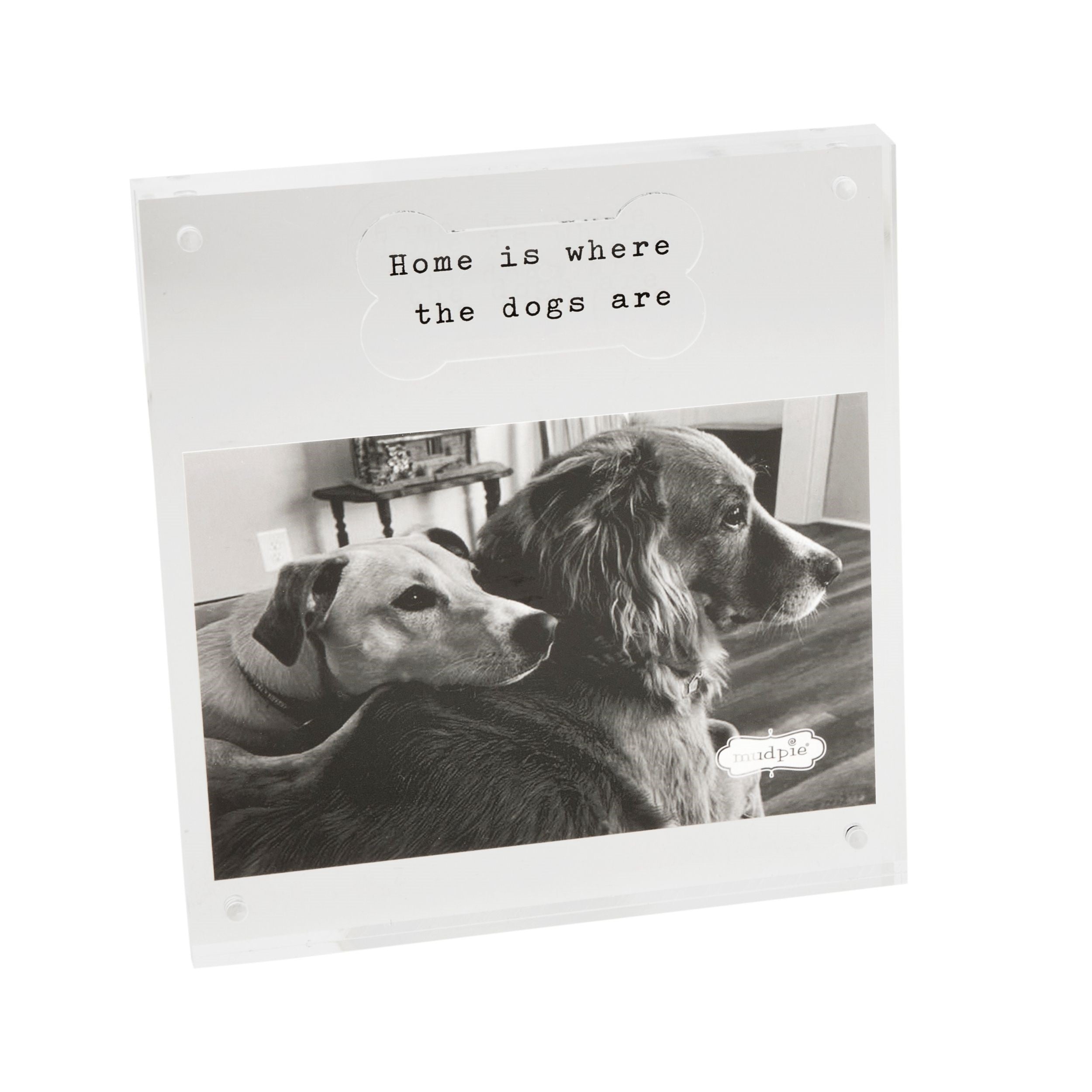 Bone Dog Acrylic Frame By Mud Pie