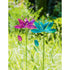 Spinning Blooms - A. Dodson's
