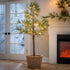 Winter Grove Pine Indoor/Outdoor LED Artificial Tree, 72"