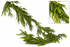 58" Natural Touch Norfolk Pine Garland–Realistic Fresh Touch