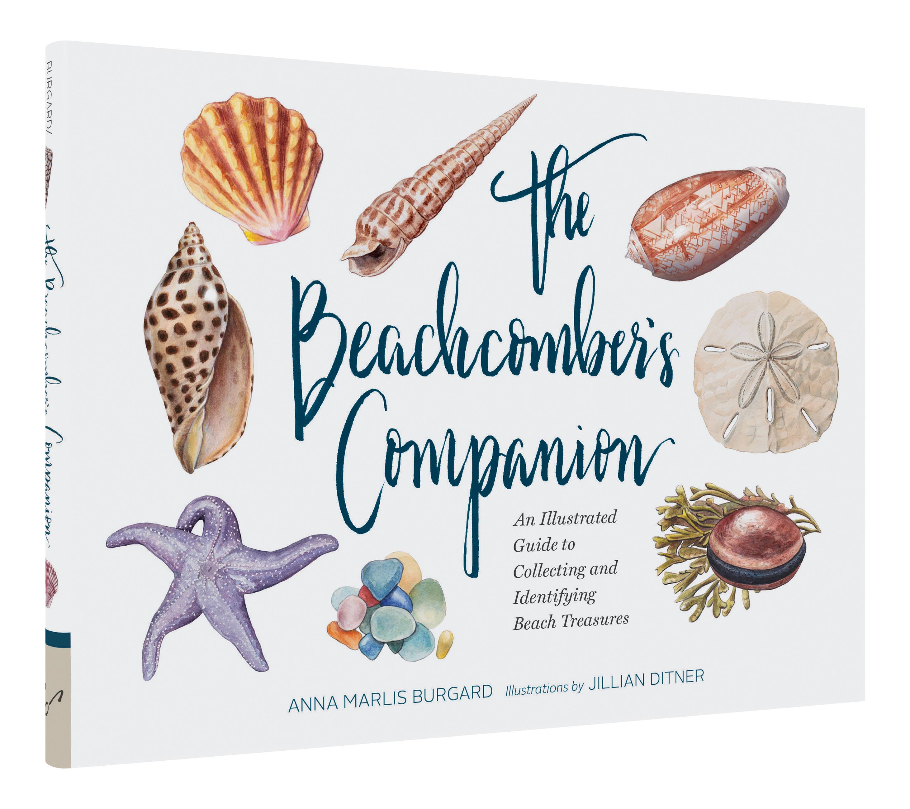 The Beachcomber's Companion