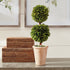 Boxwood Double Sphere Topiary 20" - View 3