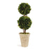 Boxwood Double Sphere Topiary 20"
