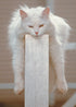 CAT STRADDLING POST CARD - A. Dodson's