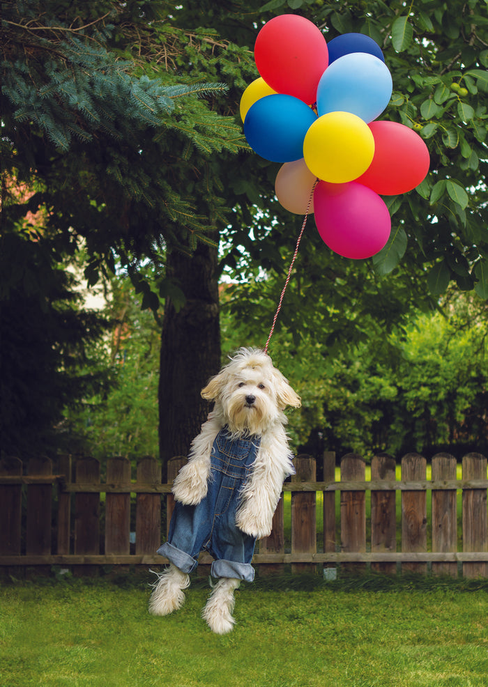 DOG CARRIED BY BALLOONS CARD