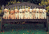 DOGS IN ROW CARD - A. Dodson's