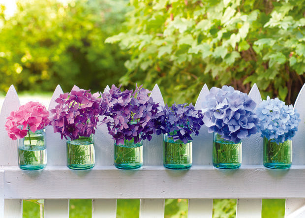 PICKET FENCE FLORAL CARD - A. Dodson's