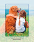 SHORTEST DISTANCE CARD - A. Dodson's