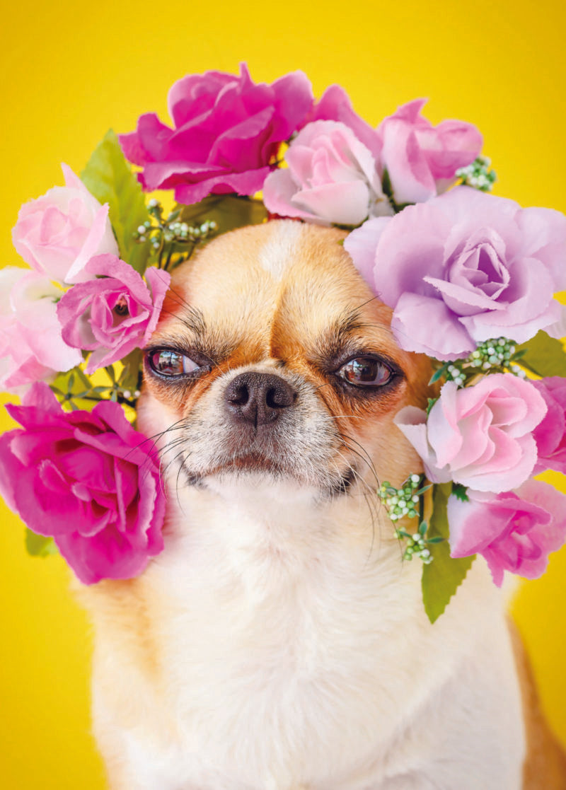 DOG WITH FLOWER CROWN CARD - A. Dodson's