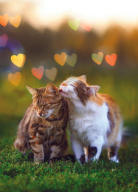 2 CATS IN LOVE CARD