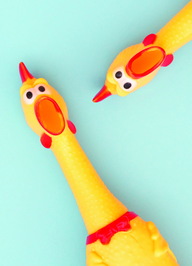 RUBBER CHICKENS CARD