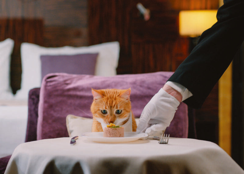 CAT BEING SERVED DINNER CARD - A. Dodson's