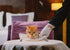 CAT BEING SERVED DINNER CARD - A. Dodson's