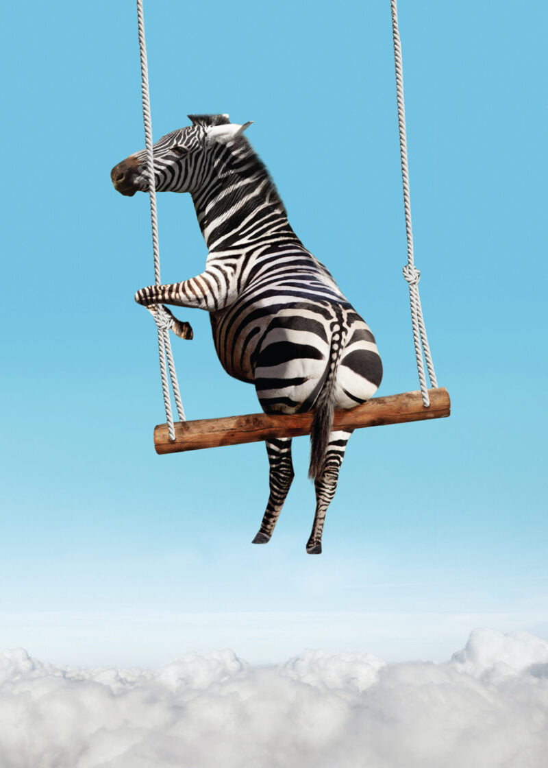 ZEBRA ON SWING CARD - A. Dodson's