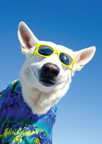 DOG WITH SUNGLASSES CARD