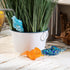 Art Glass Seashell Watering Channel