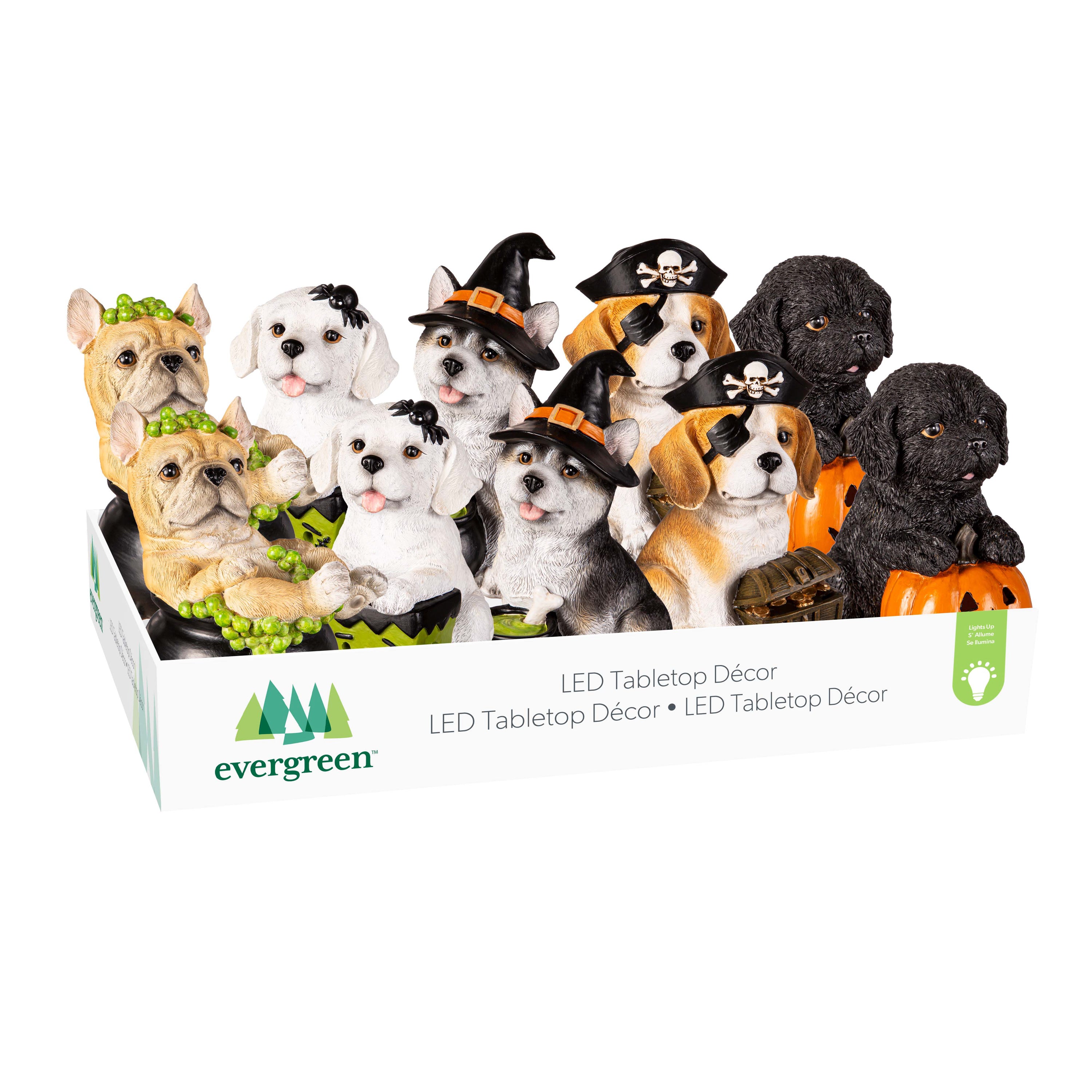 5" LED Resin Halloween Dog Tabletop Decor 5 Assorted