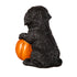 5" LED Resin Halloween Dog Tabletop Decor 5 Assorted