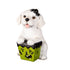 5" LED Resin Halloween Dog Tabletop Decor 5 Assorted