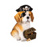 5" LED Resin Halloween Dog Tabletop Decor 5 Assorted